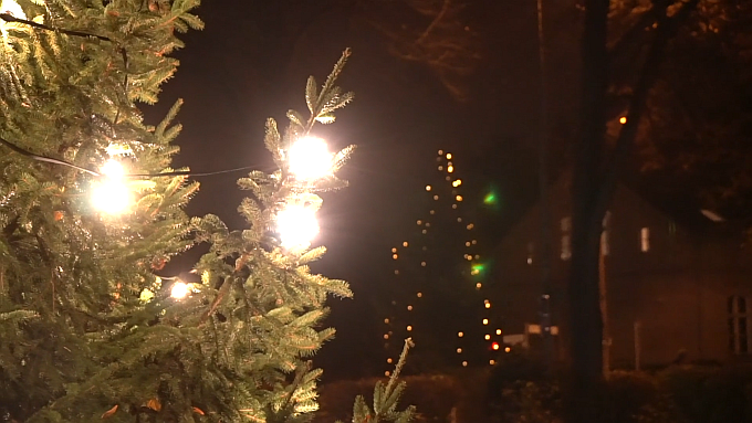 Weihnachtsbaum 2020 2 680